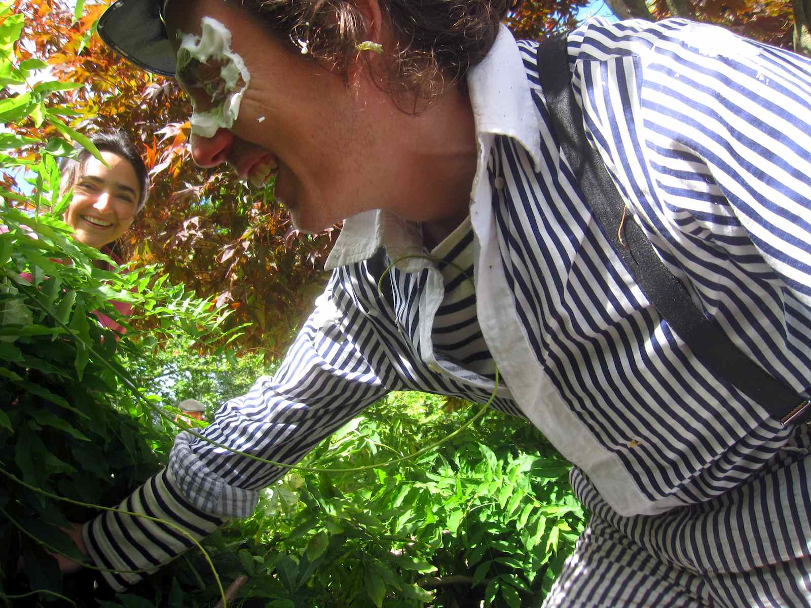 Son of a Sea Turtle – The Film